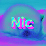 NIC